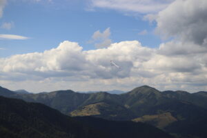 zm.IMG_4350