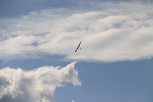 zm.IMG_4356