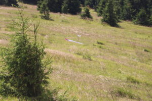 zm.IMG_4360