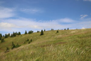 zm.IMG_4367