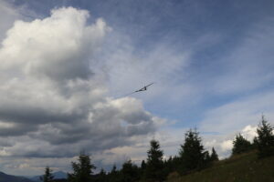 zm.IMG_4383