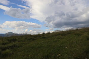 zm.IMG_4388