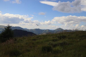 zm.IMG_4390