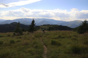 zm.IMG_4391