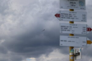 zm.IMG_4396