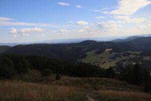 zm.IMG_4402