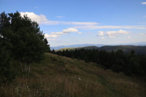 zm.IMG_4404