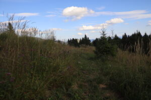 zm.IMG_4406