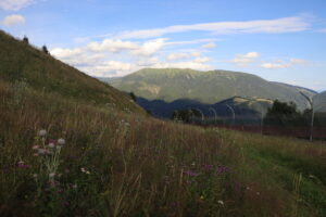 zm.IMG_4407
