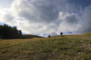 zm.IMG_4409