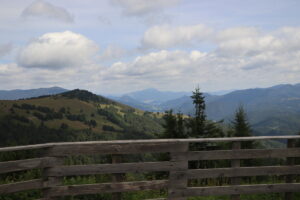 zm.IMG_4419