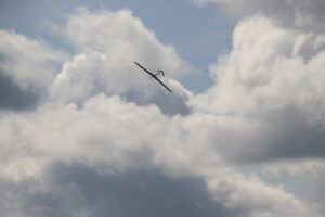 zm.IMG_4440
