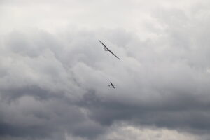 zm.IMG_4462