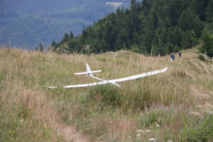 zm.IMG_4485