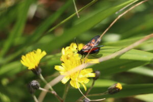 zm.IMG_4575
