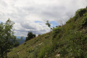 zm.IMG_4603