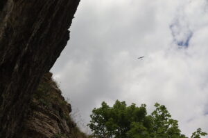 zm.IMG_4606
