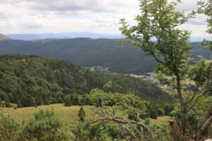 zm.IMG_4614