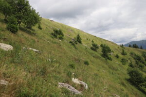 zm.IMG_4622