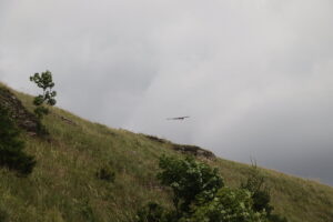 zm.IMG_4623
