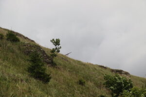 zm.IMG_4624
