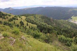 zm.IMG_4628