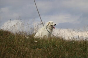 zm.IMG_4638