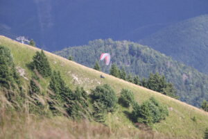 zm.IMG_4651