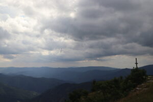 zm.IMG_4684