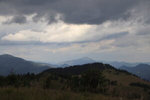 zm.IMG_4689