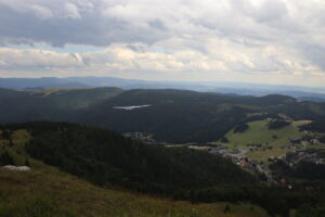 zm.IMG_4730