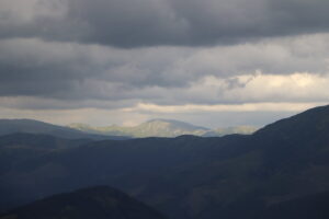 zm.IMG_4744