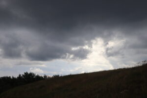 zm.IMG_4746
