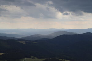 zm.IMG_4747