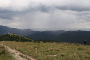 zm.IMG_4758