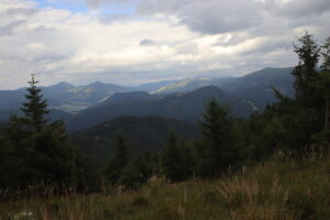 zm.IMG_4766