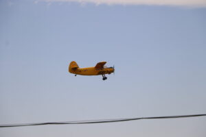 zm.IMG_4886