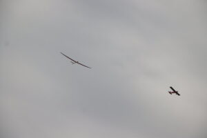 zm.IMG_4901