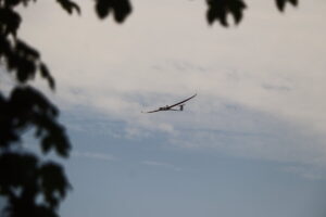 zm.IMG_4916