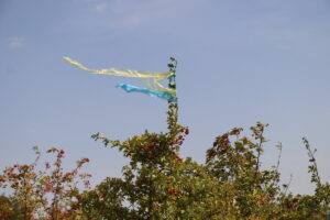 zm.IMG_4982