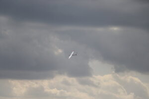 zm.IMG_4997