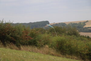 zm.IMG_5004