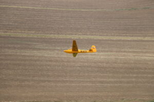 zm.IMG_5044
