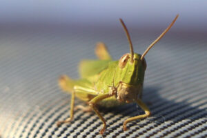 zm.IMG_5086