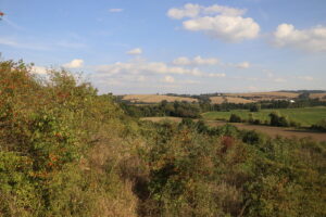 zm.IMG_5097