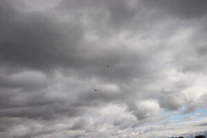 zm.IMG_5138