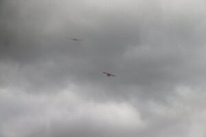 zm.IMG_5140