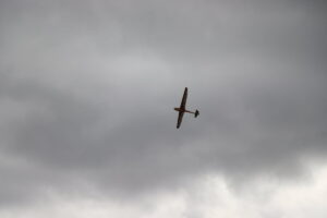 zm.IMG_5154