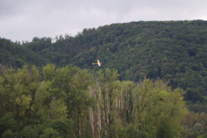 zm.IMG_5155