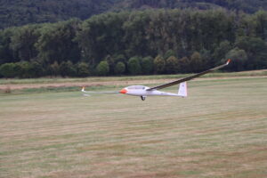 zm.IMG_5168